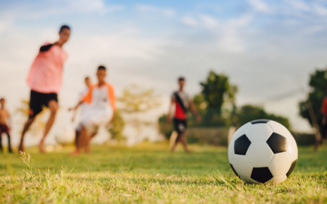 Private Equity in Sports Industry