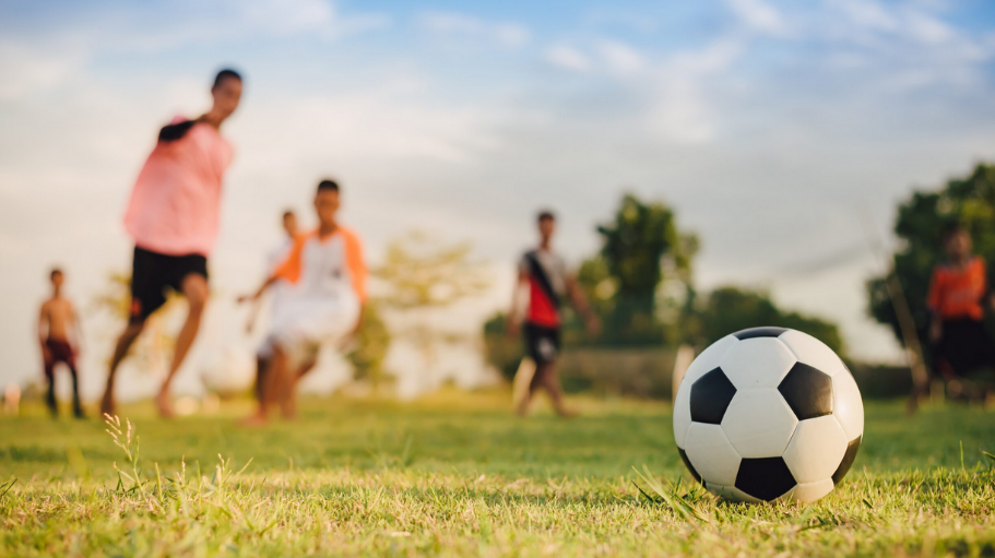 Private Equity in Sports Industry